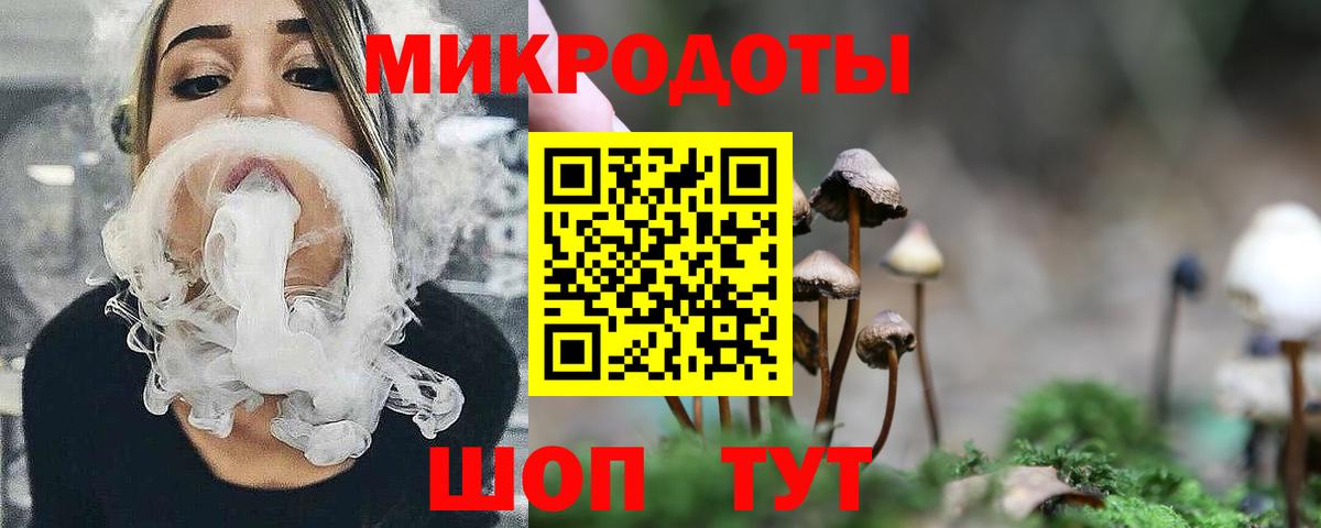 где можно купить наркотик  Галлюциногенные грибы MAGIC MUSHROOMS  Вход с VPN  Галлюциногенные грибы прущие грибы  Всеволожск 